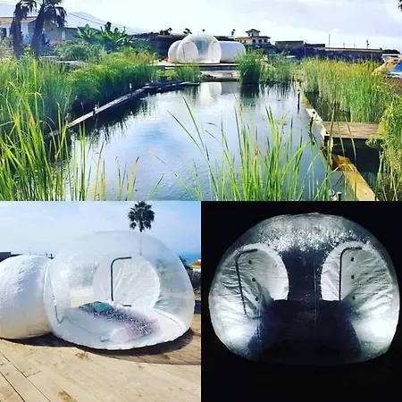 努埃瓦维达芬卡乡村民宿