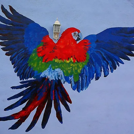 Eco Camping Nueva Vida * Chío