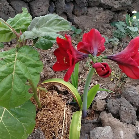 Gospodarstwo wiejskie Eco Camping Nueva Vida Chío