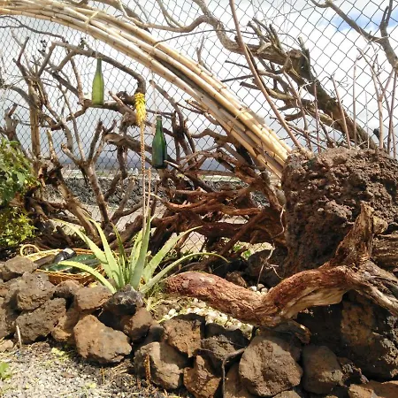 Eco Camping Nueva Vida Gospodarstwo wiejskie