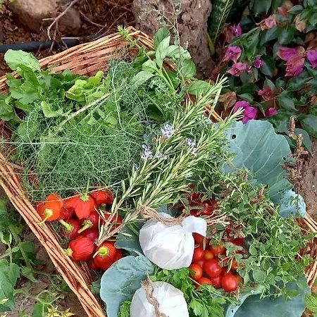 Eco Camping Nueva Vida Gospodarstwo wiejskie Chío