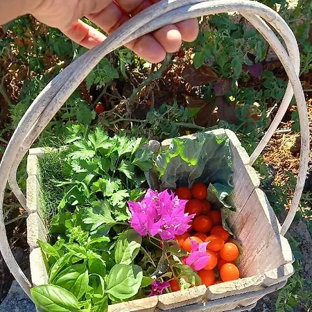 Gospodarstwo wiejskie Eco Camping Nueva Vida Chío