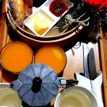 Eco Camping Nueva Vida *