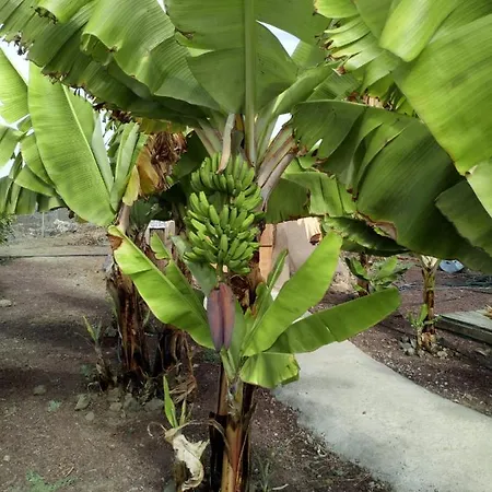 Gospodarstwo wiejskie Eco Camping Nueva Vida Chío